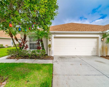 5813 Autumn Shire Drive, Zephyrhills