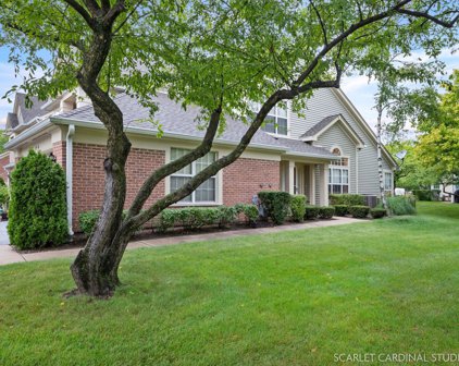 379 Aberdeen Court Unit #4, Bartlett