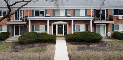 2307 Goebbert Road Unit #B210, Arlington Heights