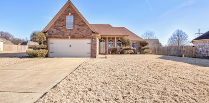 2732 Olivia Cove, Southaven