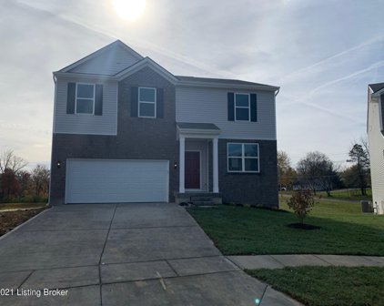 505 Terry Ct, Shelbyville