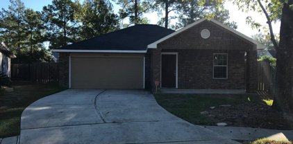 8522 Leafdale Drive, Humble