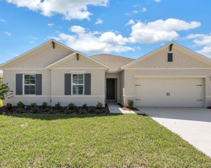 3254 Swan Song Court, Bartow