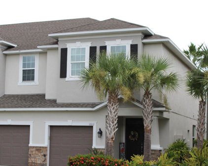 1202 Syrah Drive, Oldsmar