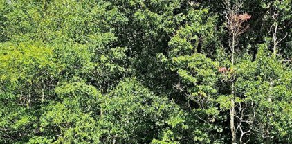 0000 Chicora Rd, Fairview Twp - But