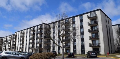 9098 W Terrace Drive Unit #1F, Niles