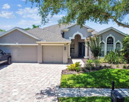 10408 Snowden Place, Tampa
