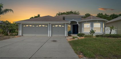 2841 Punta Palma Court, Holiday