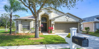 7402 Pulteney Drive, Wesley Chapel