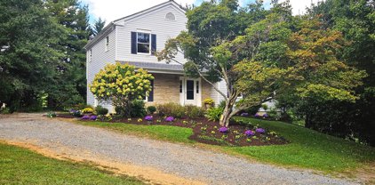 13452 Forsythe Rd, Sykesville