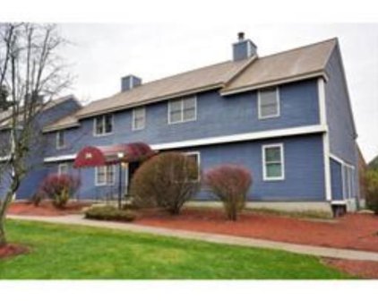 425 Main Unit 24B, Hudson