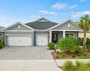 42263 Saddleback Trail, Punta Gorda image