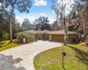 11678 W Timberlane Drive, Homosassa image