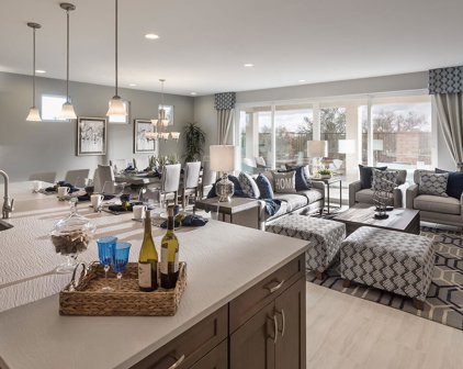 14304 N Chaparral Sage, Marana