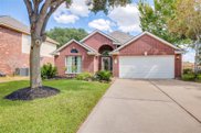12135 Canyon Mills Drive, Houston image