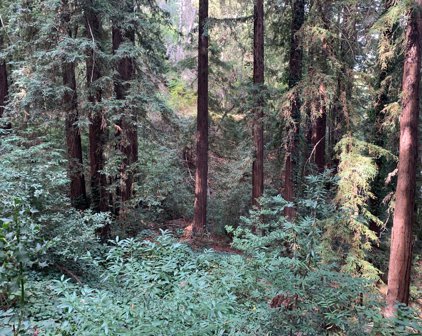 0 Helen WAY, Los Gatos
