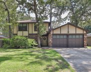 29 S Summer Star Court, The Woodlands image