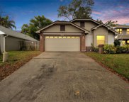 2240 Springflower Drive, Clearwater image