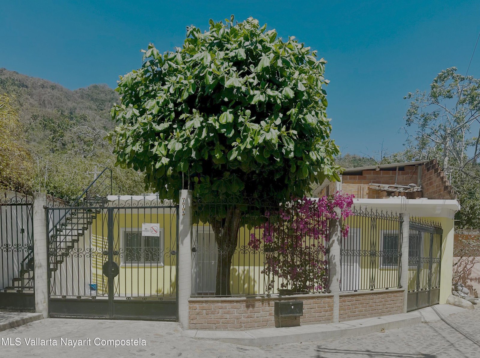 114 Miguel Angel, Puerto Vallarta, JALISCO N/A — Benito Juarez