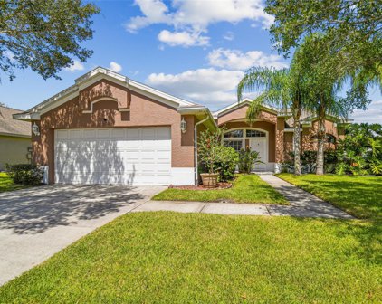 383 Fountainview Circle, Oldsmar