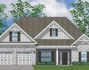1420 Saugus Court, Chapin image