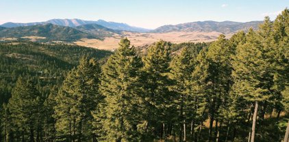 1155 Colt Drive, Bozeman
