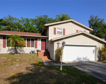 1619 Burning Tree Ln, Brandon