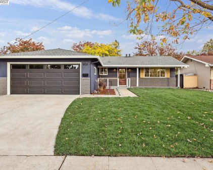 406 Coleen, Livermore