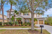 16113 Colchester Palms Drive, Tampa image