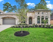 114 Stellar Hills Court, Willis image