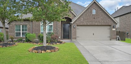 13612 Mystic Park Court, Pearland