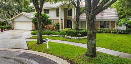 2461 Waterview Court, Palm Harbor