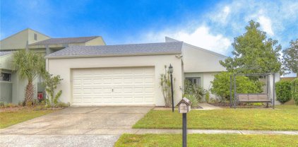 16117 Gardendale Drive, Tampa