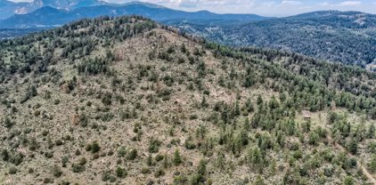 14336 Wamblee Trail, Conifer