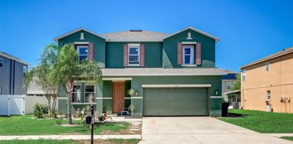 10601 Bamboo Rod Circle, Riverview