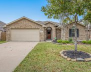 17214 Double Lilly Drive, Houston image