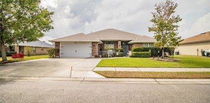 1630 Taylor Landing Drive, Bartow