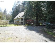 24015 NE WH GARNER RD, Yacolt image