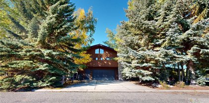 1233 SILVER CIRCLE, Red Lodge