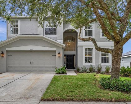 30622 Annadale Drive, Wesley Chapel