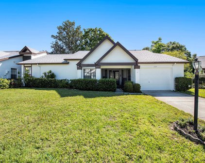 1337 Camelot Court, Palm Harbor