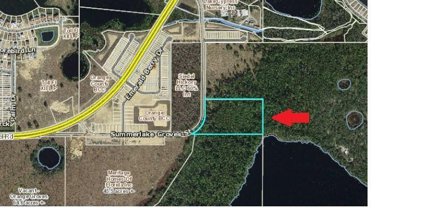 9775 Seidel Road, Winter Garden