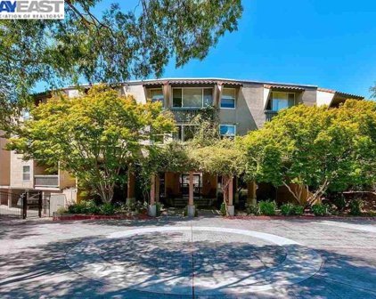 1087 Murrieta Blvd 234, Livermore