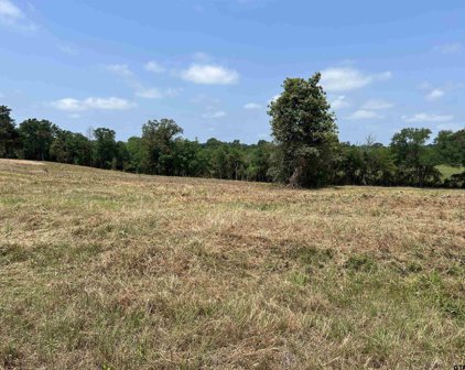 LOT 1A TBD COUNTY ROAD 2166, Troup