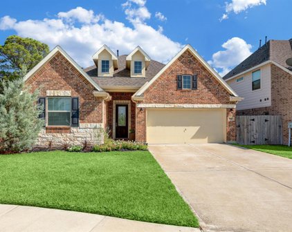 1647 Morgan Trail Drive, Alvin