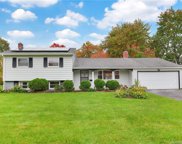 1 Greenmeadow Drive, Bloomfield image