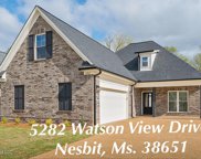 5282 Watson View Drive, Nesbit image