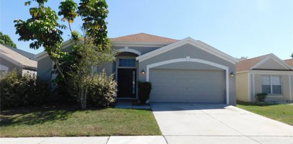12221 Dawn Vista Drive, Riverview