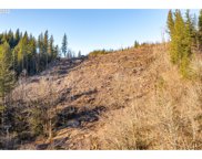 38118 NE SUNSET FALLS RD, Yacolt image