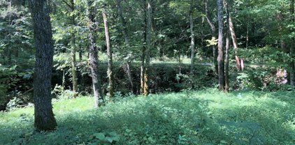 00 Greenwell Ford Rd, Mt Washington